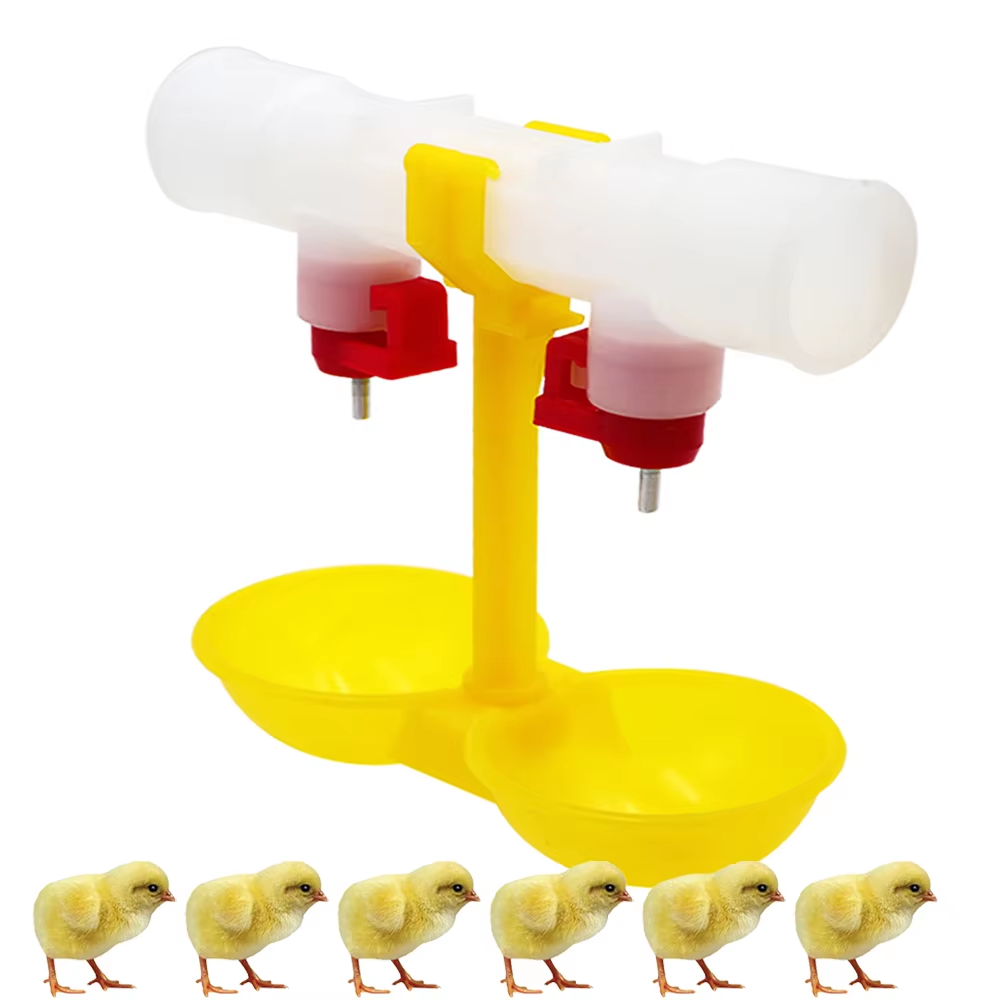 5/10/20Pcs Chicken Double Head - đánh giá và giá Zwitsal Baby Products