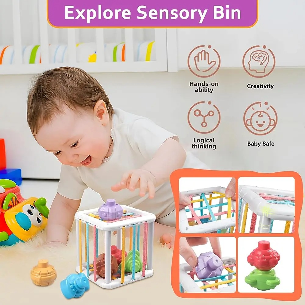 Rainbow Colorful Montessori Sh - đánh giá và giá Baby Products Toys