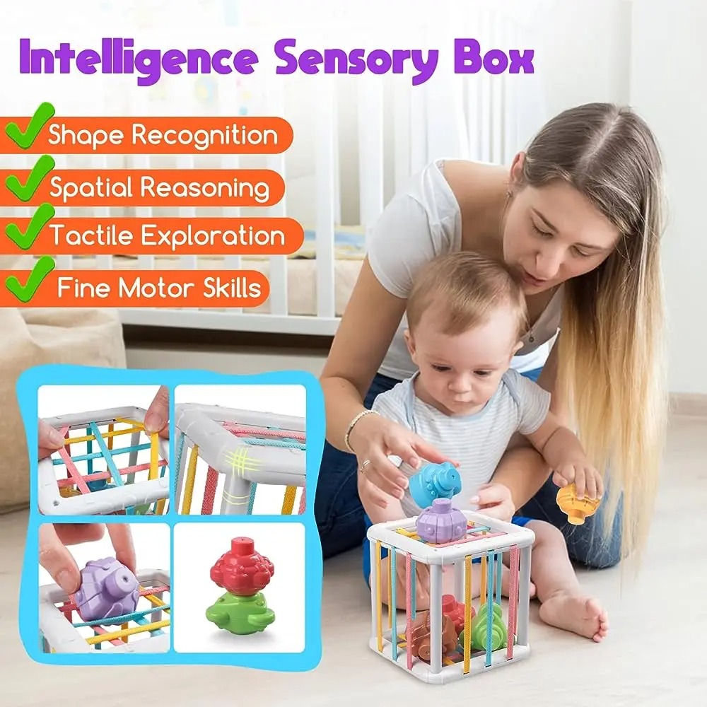 Rainbow Colorful Montessori Sh - đánh giá và giá Baby Products Toys